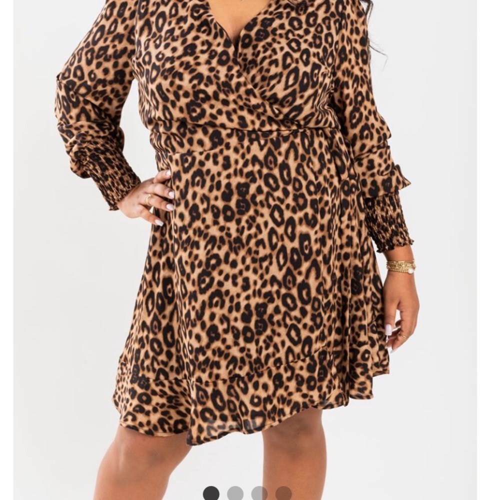 NWT Francescas Leopard Wrap Midi Dress